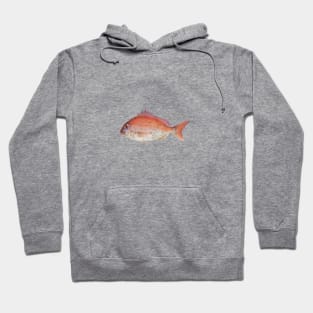 rose-colored sea bream Hoodie